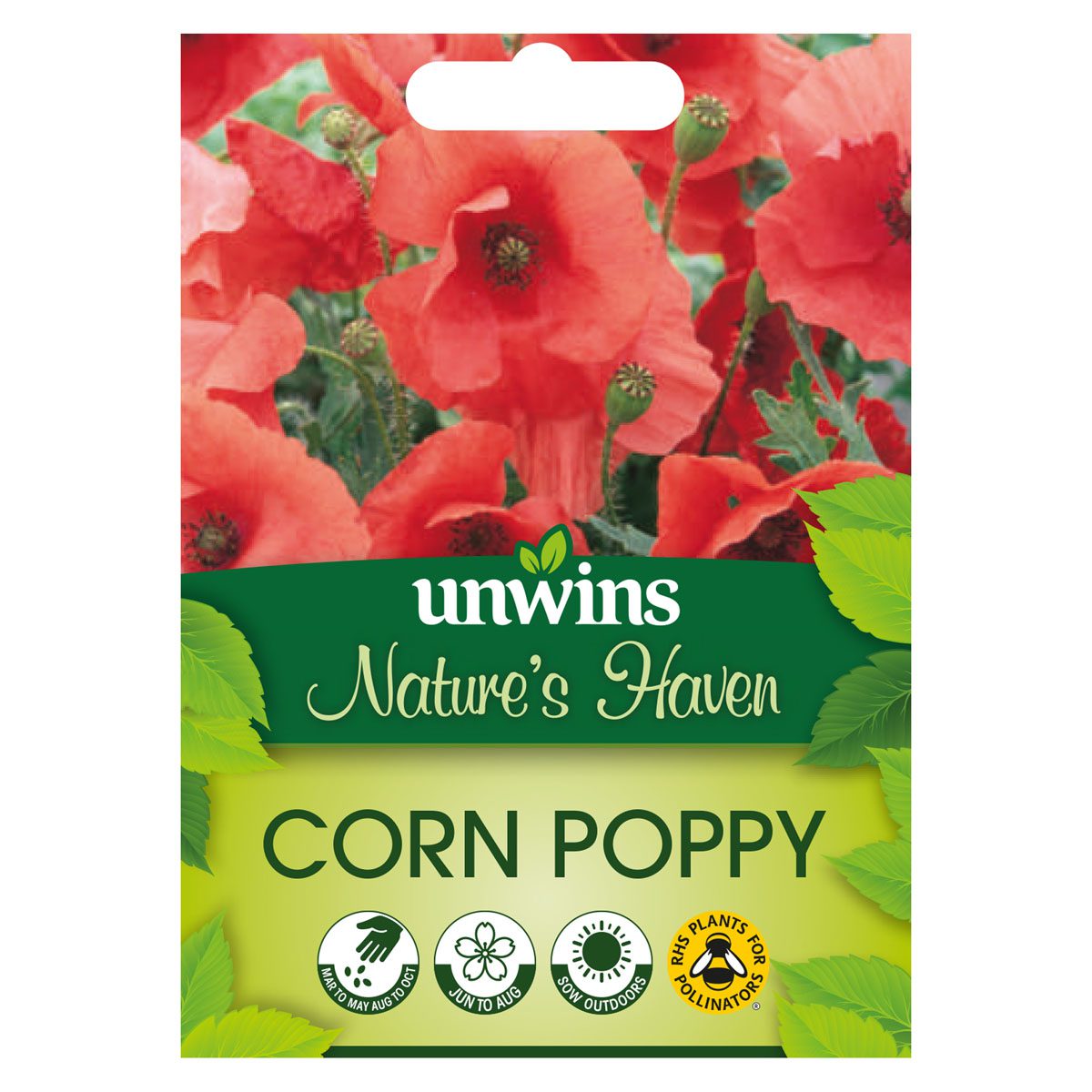 5051618031776 1 Wildflower Corn Poppy Seeds.jpg